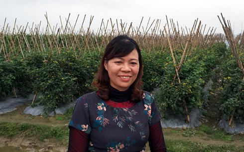 Bà Lê Thị Dung, Chủ tịch HĐQT Công ty CP Đầu tư Công nghệ xanh tại mô hình sản xuất rau an toàn ở xã Khánh Cư, huyện Yên Khánh, Ninh Bình.