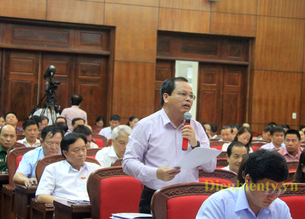 Đại biểu Nhữ Văn Quảng nêu câu hỏi chất vấn