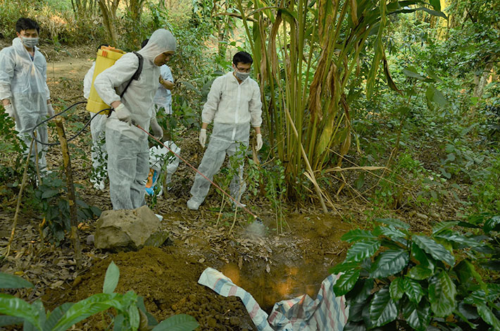 Cán bộ chuyên môn phun tiêu độc khử trùng hố chôn lợn mắc bệnh dịch tả Châu Phi tại bản Nà Lơi, xã Thanh Minh.
