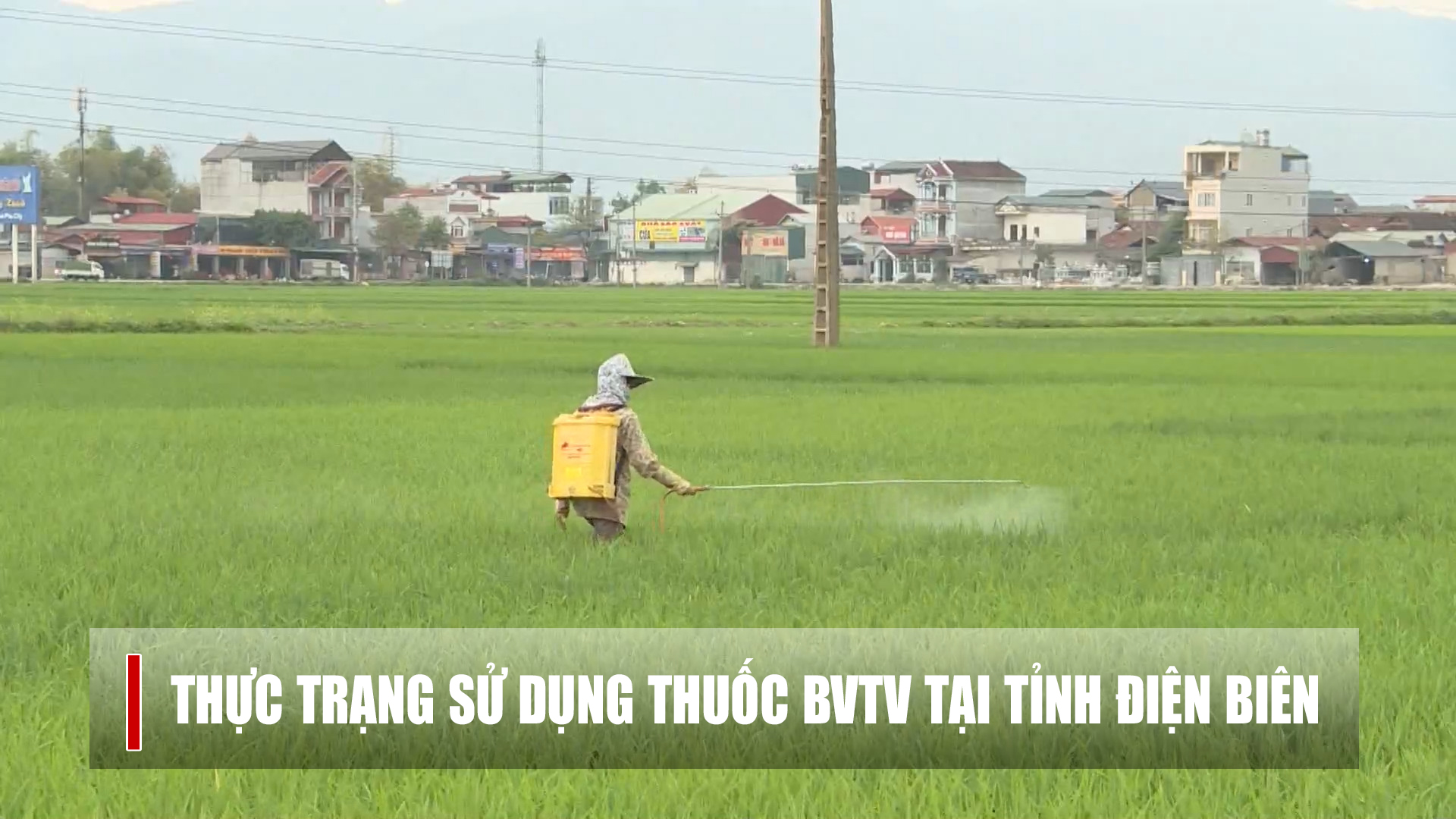 Thực trạng sử dụng thuốc BVTV tại tỉnh Điện Biên