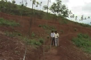 Cao su tiểu điền