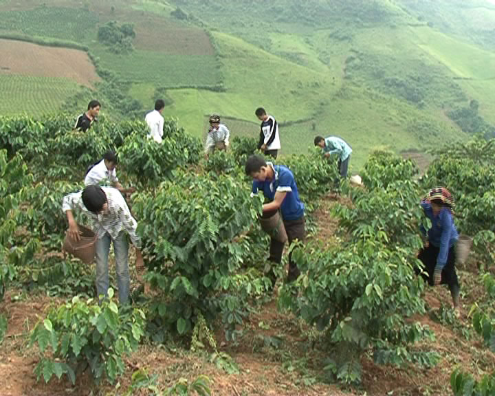 Đào tạo nghề LĐNT M. Ảng