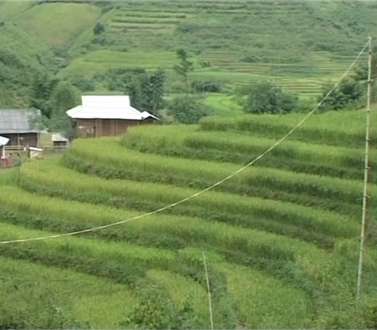 Chỉ riêng chuyện thay đổi tập quán canh tác từ trồng lúa nước sang làm lúa nương cũng không phải dễ dàng đối với người dân tái định cư nơi đây