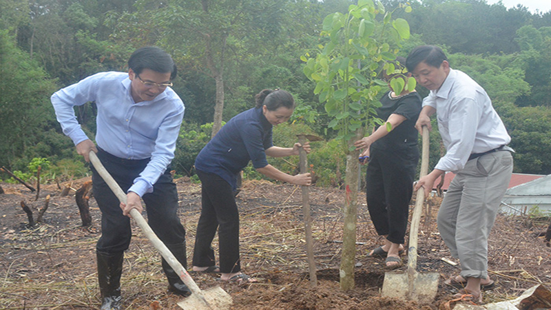 https://youtu.be/Đồng chí Trần Văn Sơn (ngoài cùng, bên trái), Ủy viên Trung ương Đảng, Bí thư Tỉnh ủy, Trưởng đoàn Đại biểu Quốc hội tỉnh Điện Biên trồng cây hoa ban trên đồi D3