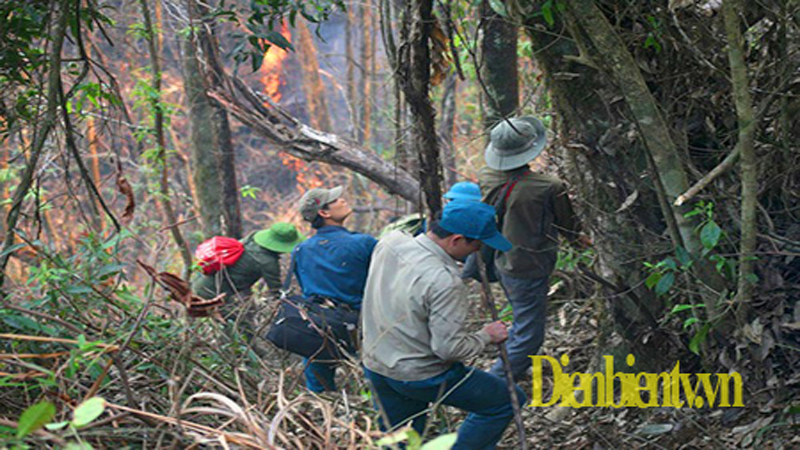 Điện Biên phát hiện trên 2.150 điểm có nguy cơ cháy rừng.