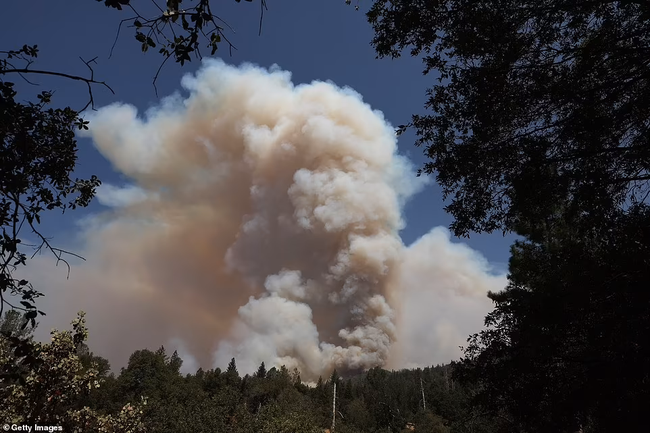 Một cột khói khổng lồ bốc lên trên một đám cháy ở bang California hôm 24/7 - Ảnh: Getty Images