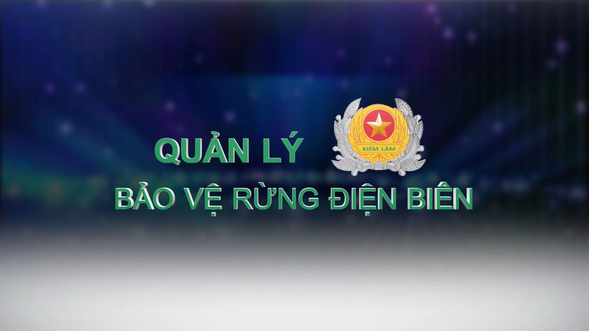 Quản lý bảo vệ rừng (Ngày 15-1-2025)