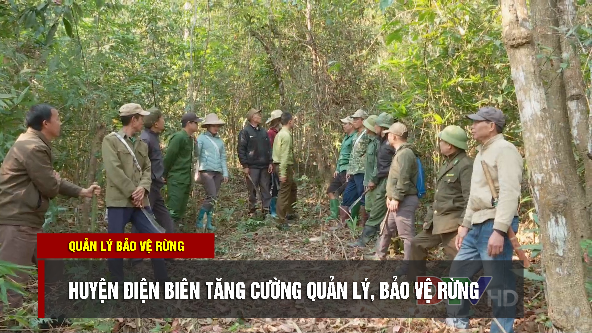 Huyện Điện Biên tăng cường quản lý, bảo vệ rừng