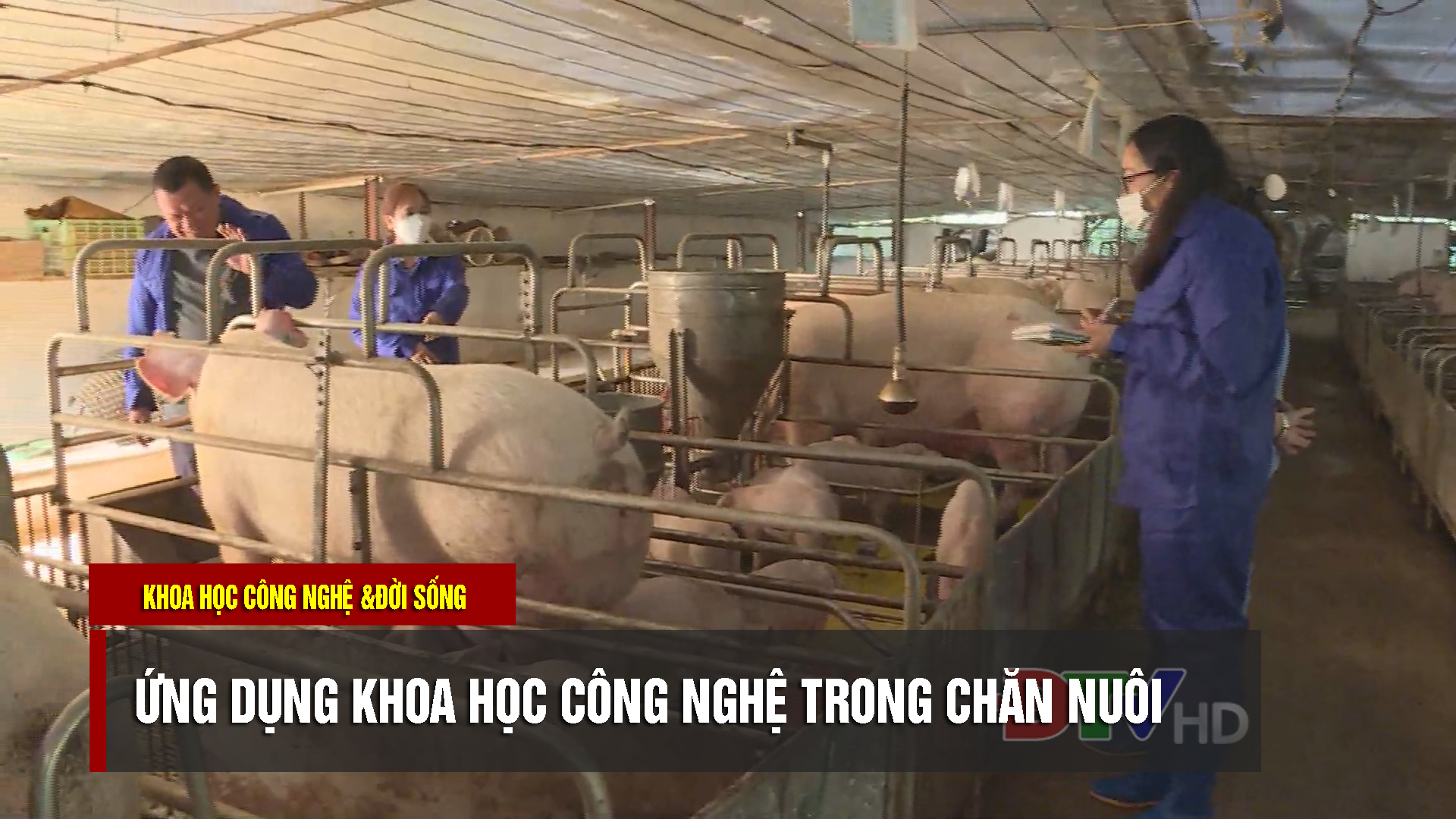 Ứng dụng KHCN trong chăn nuôi