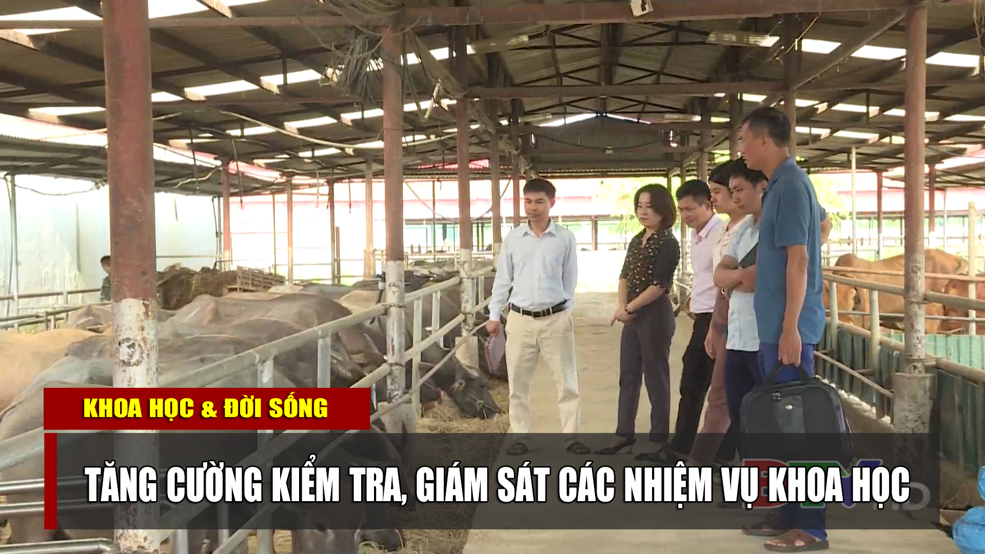 Tăng cường kiểm tra, giám sát các nhiệm vụ khoa học