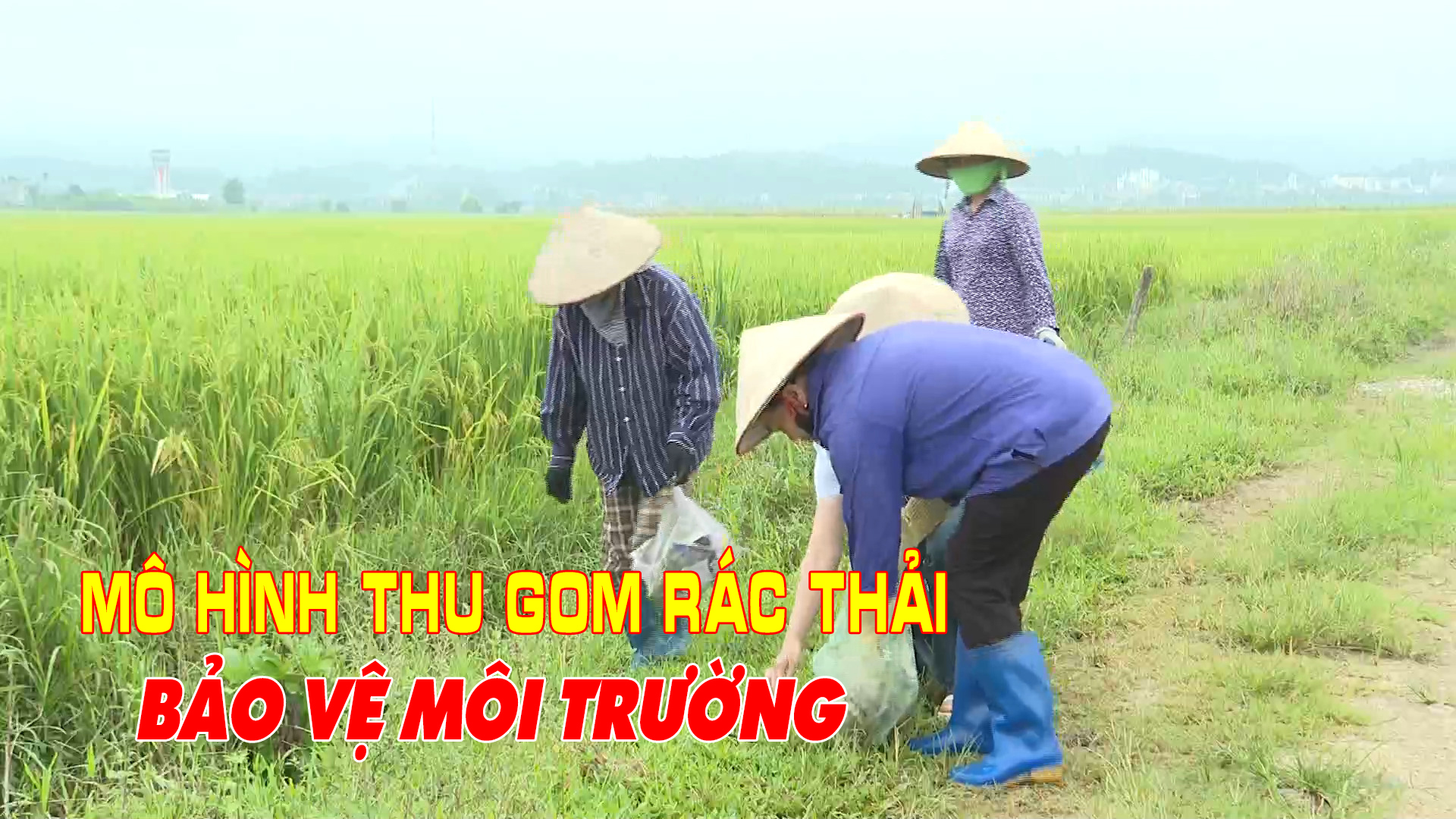 Mô hình thu gom rác thải - bảo vệ môi trường