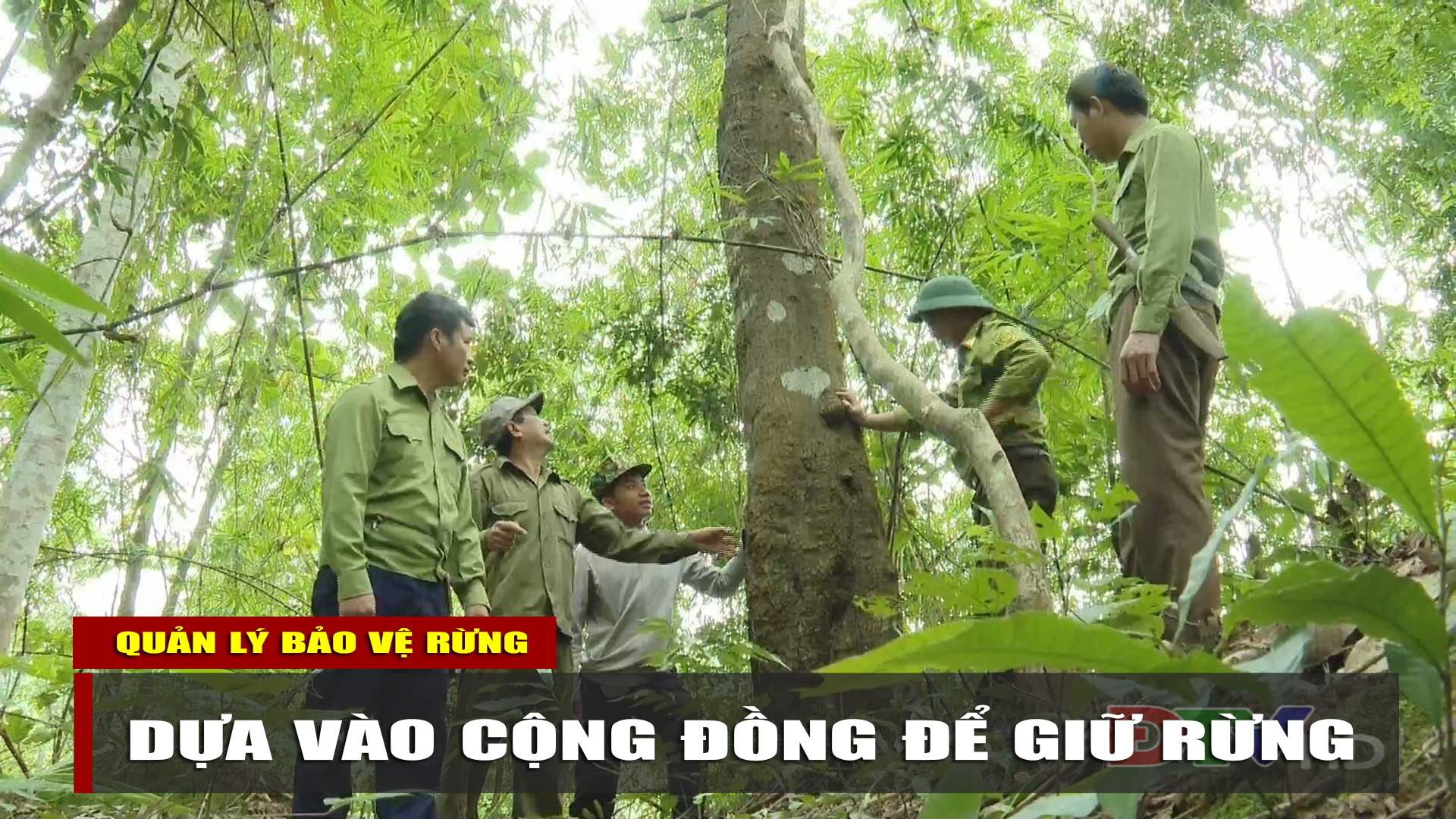 Dựa vào cộng đồng để giữ rừng