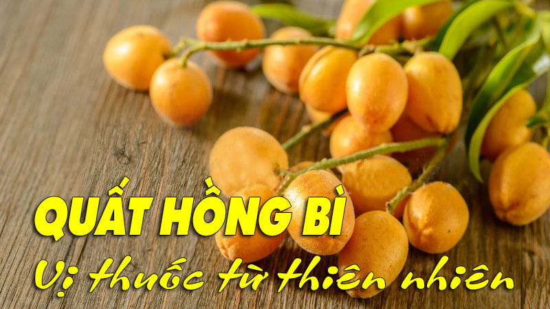 Quất hồng bì - Vị thuốc từ thiên nhiên