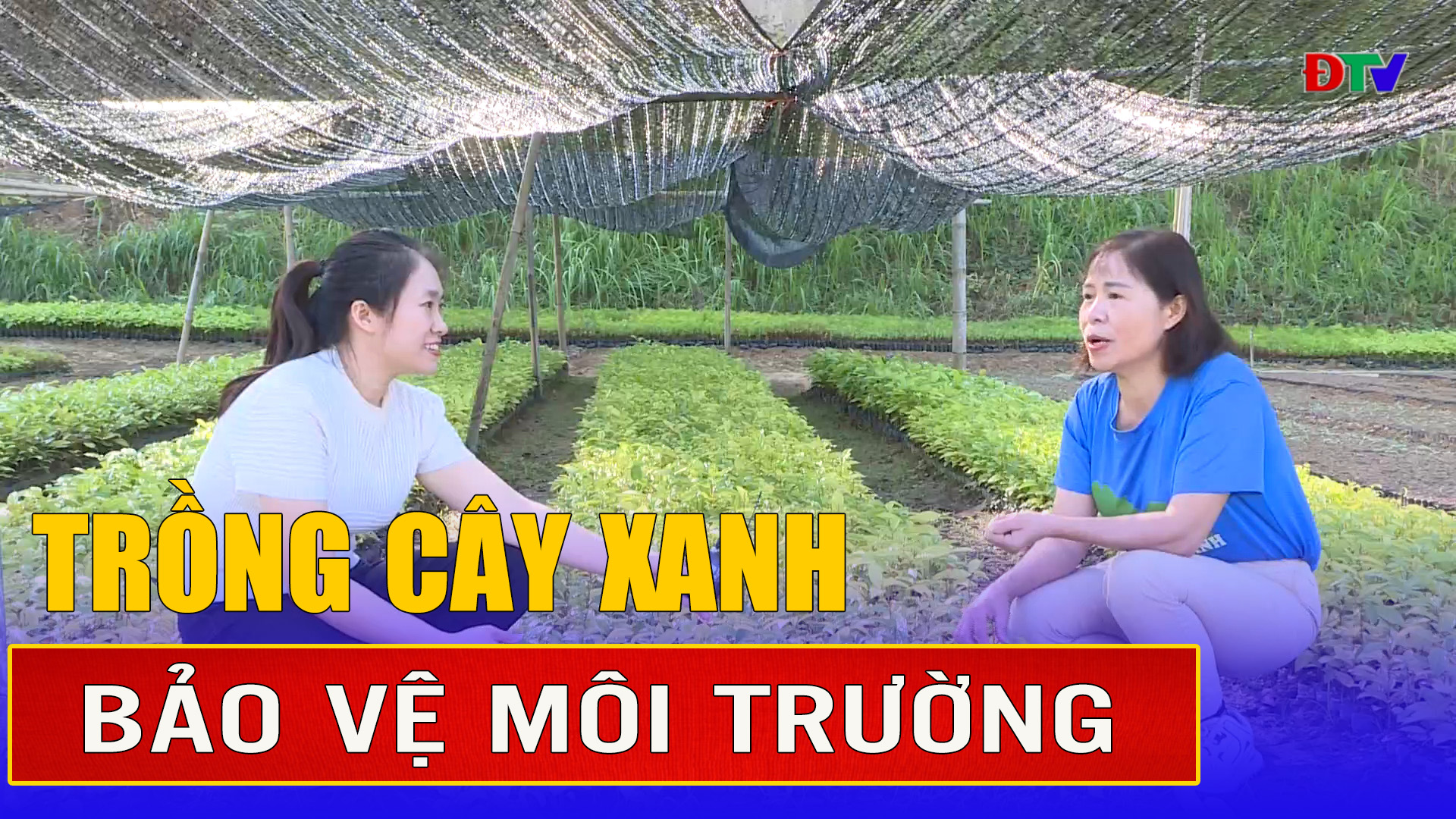 Trồng cây xanh bảo vệ môi trường