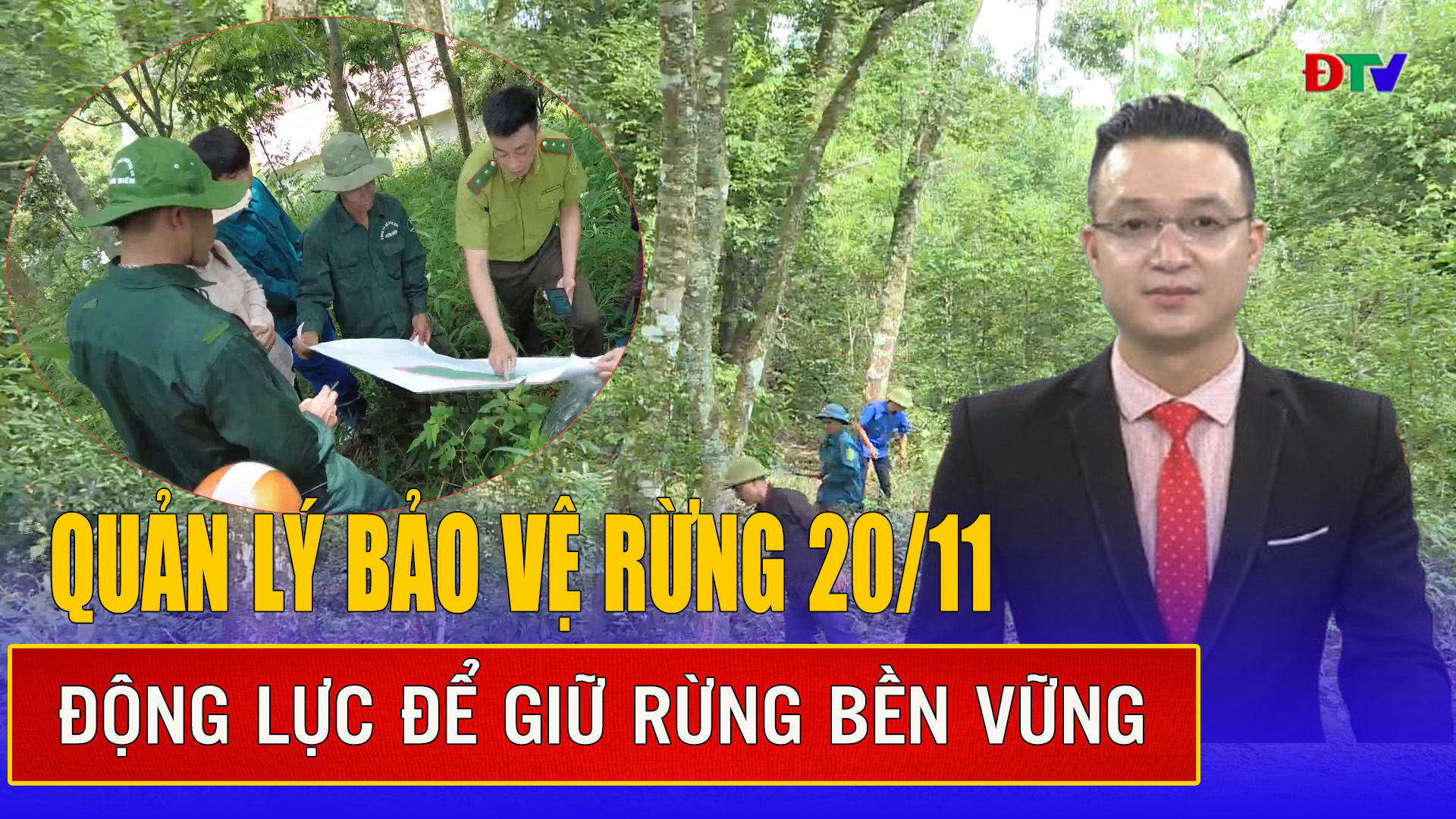 Động lực để giữ rừng bền vững