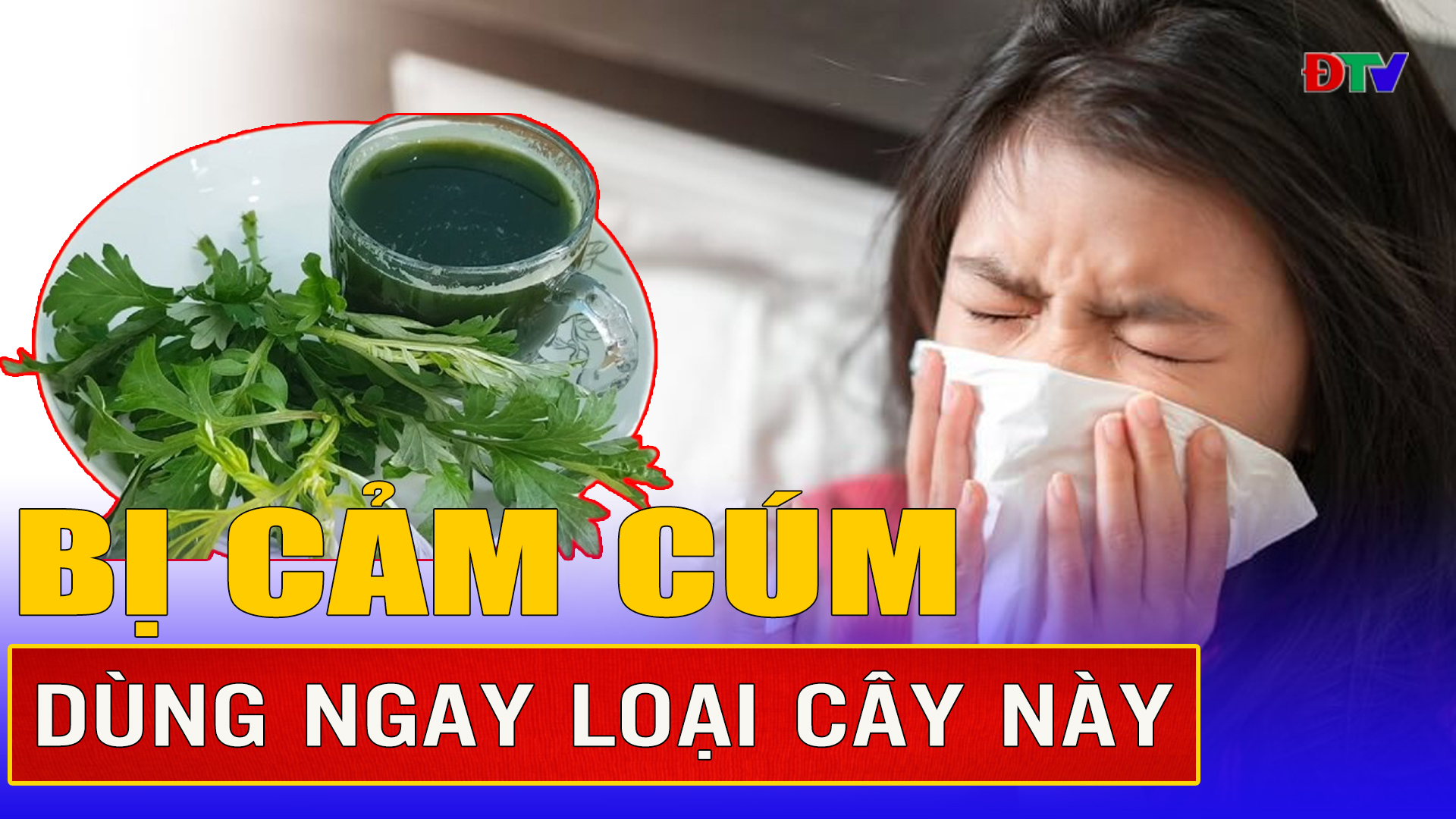 Những bài thuốc từ cây ngải cứu