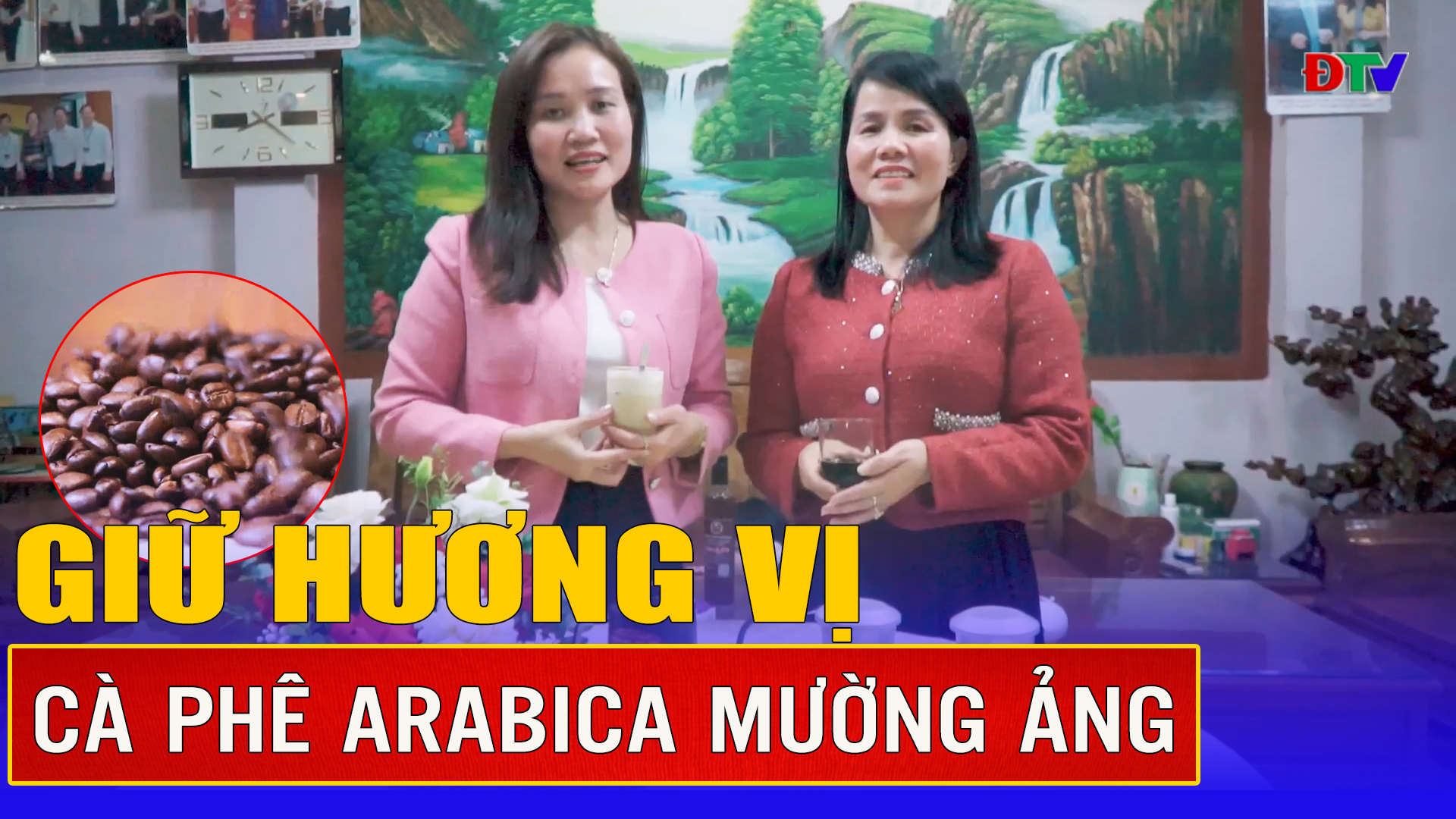 Giữ hương vị cà phê Arabica Mường Ảng