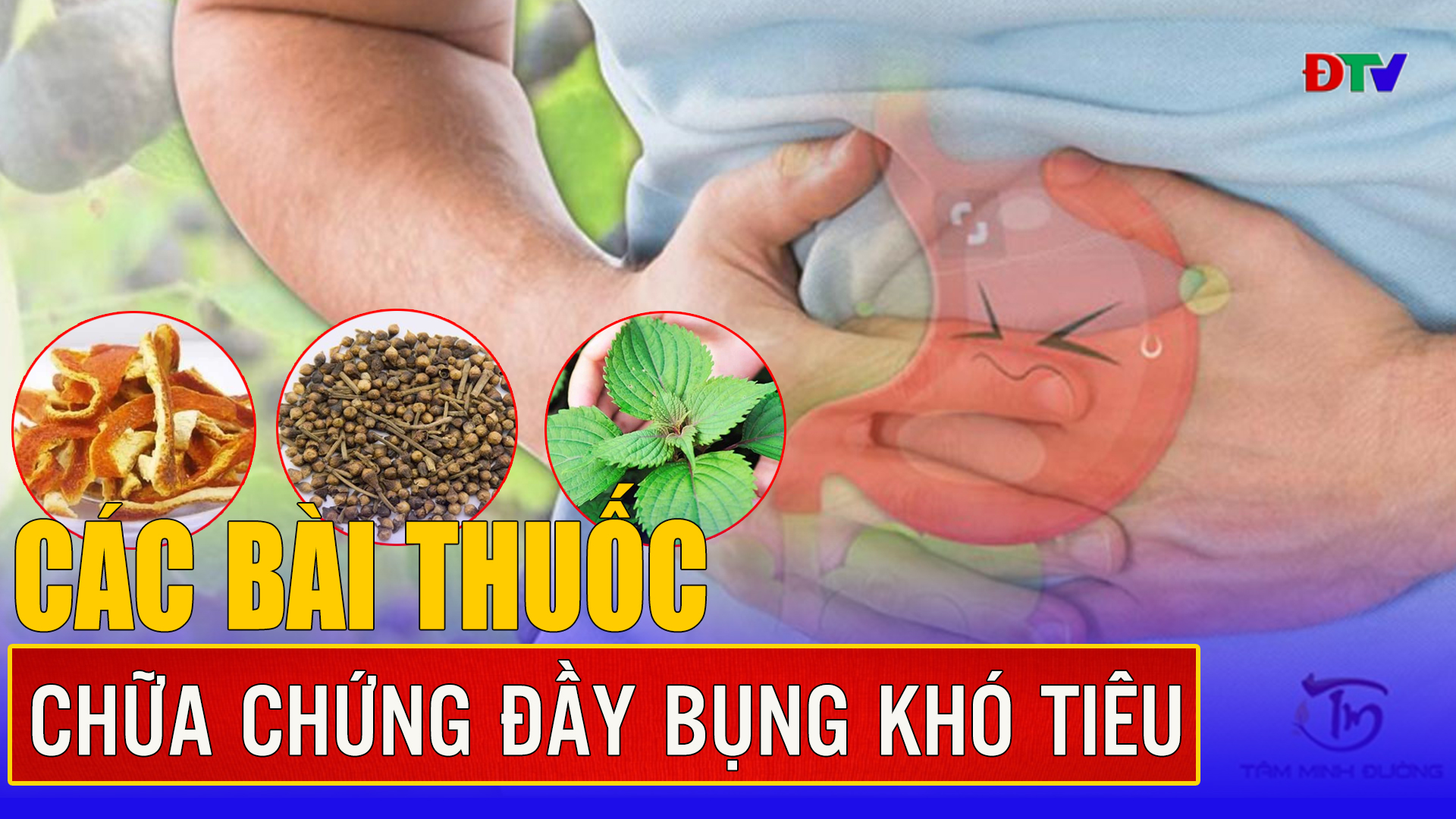 Các bài thuốc chữa chứng đầy bụng khó tiêu