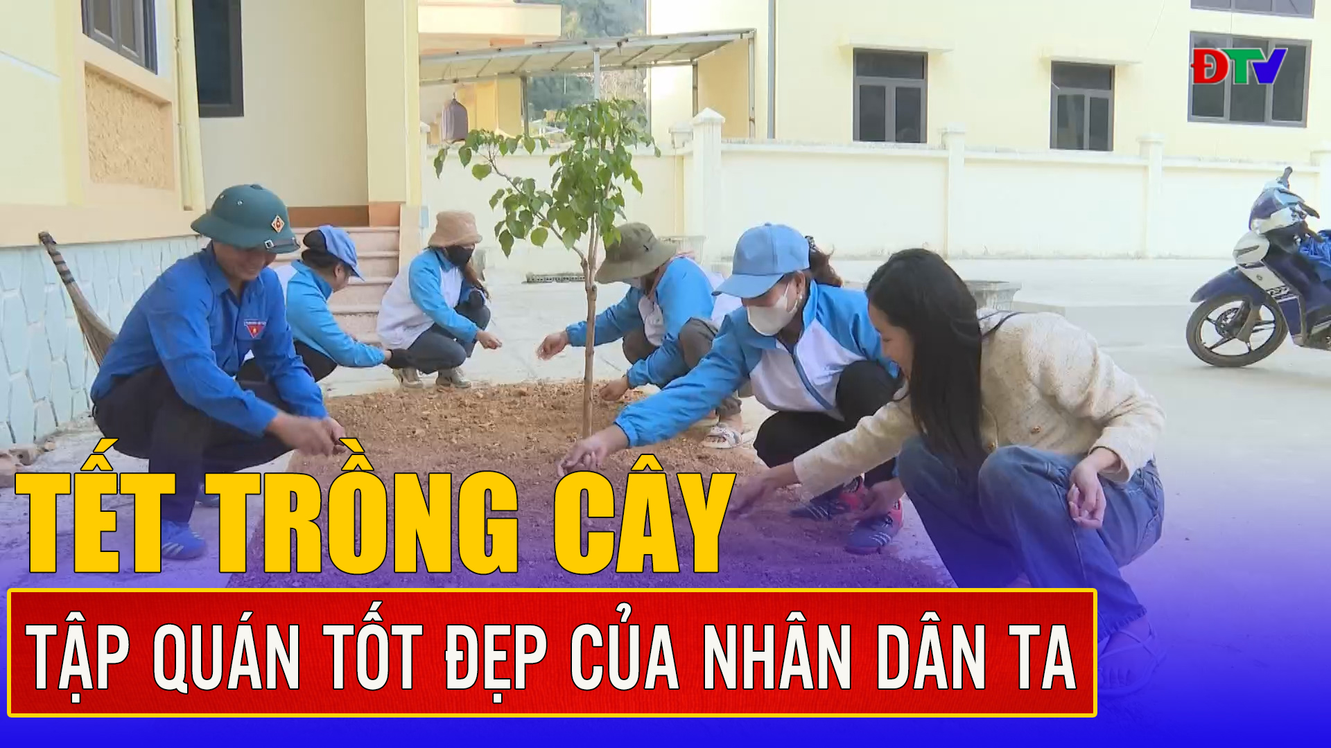 Tết trồng cây