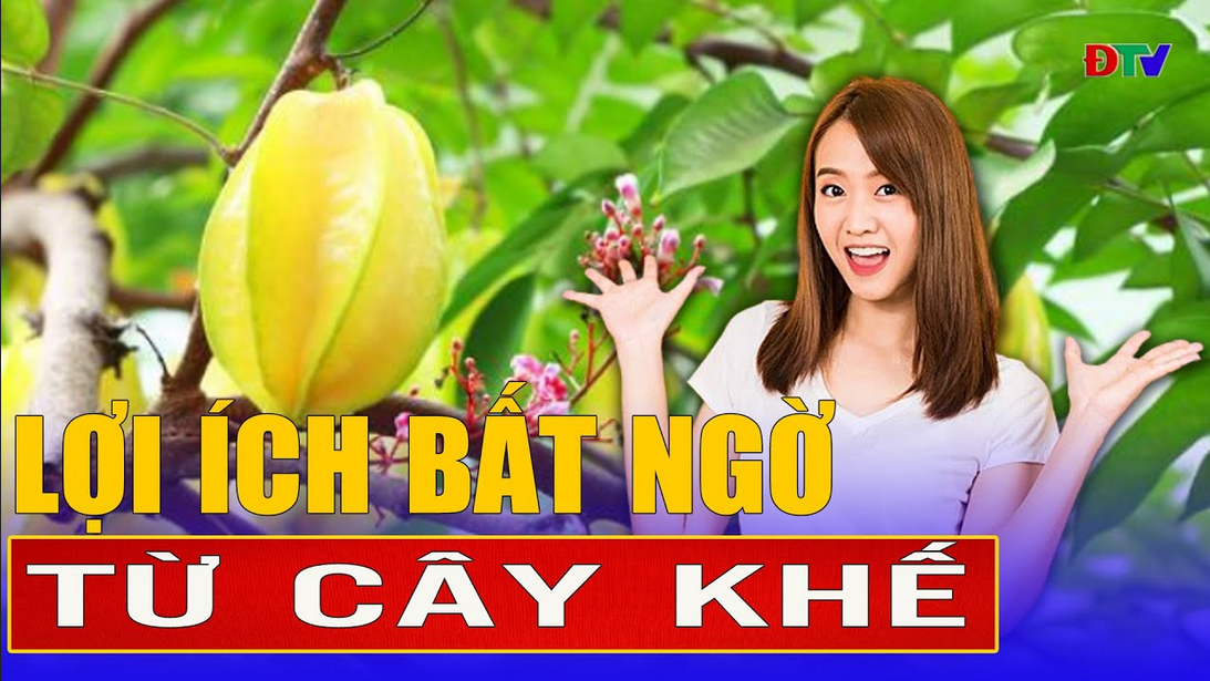 Lợi ích bất ngờ từ cây khế