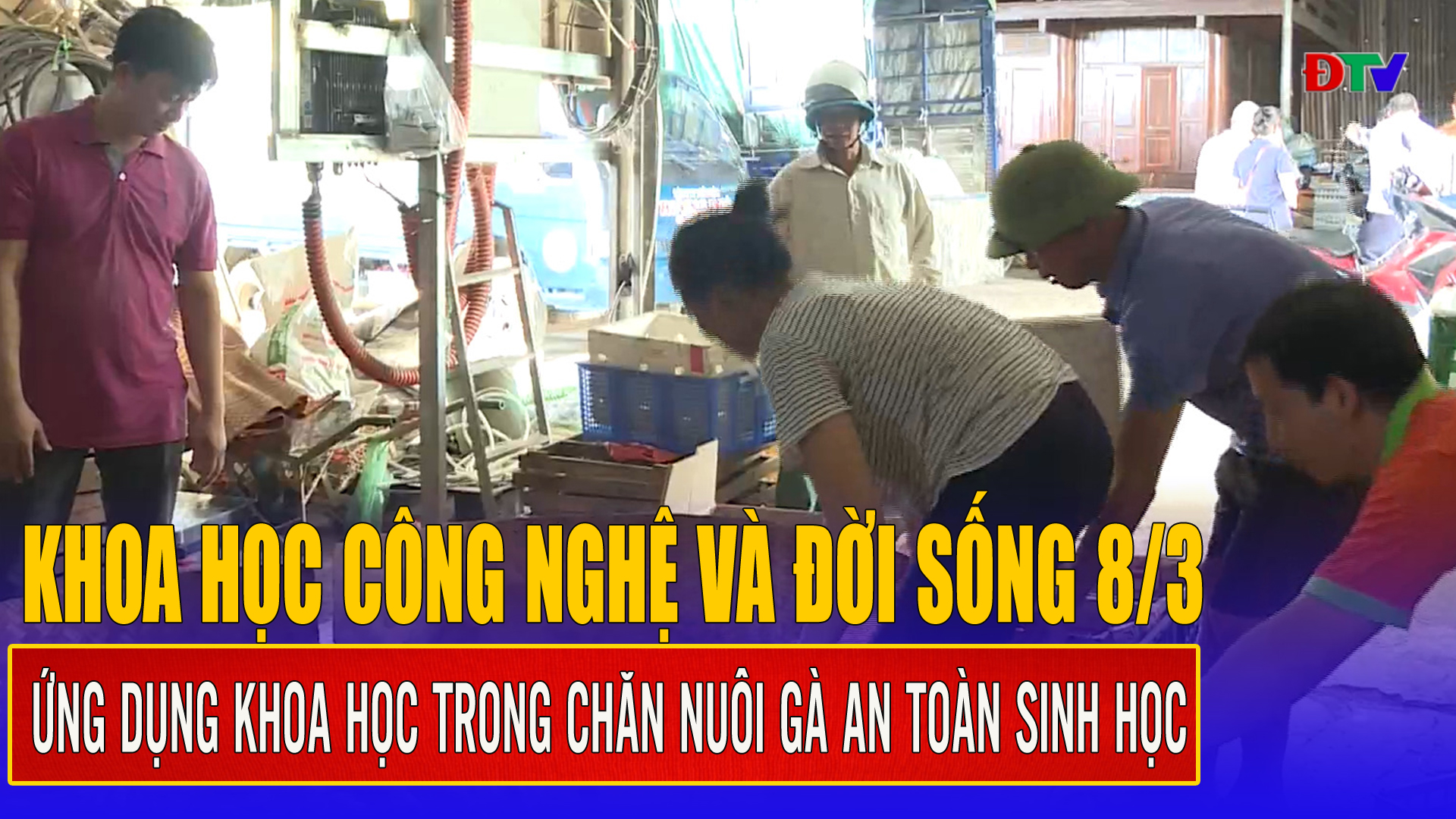 Ứng dụng khoa học trong chăn nuôi gà an toàn sinh học