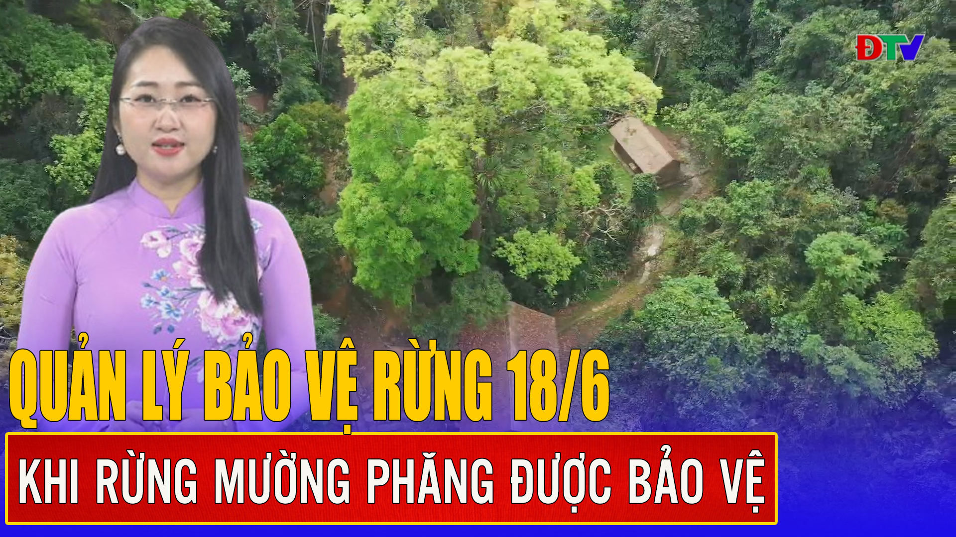 Khi rừng Mường Phăng được bảo vệ