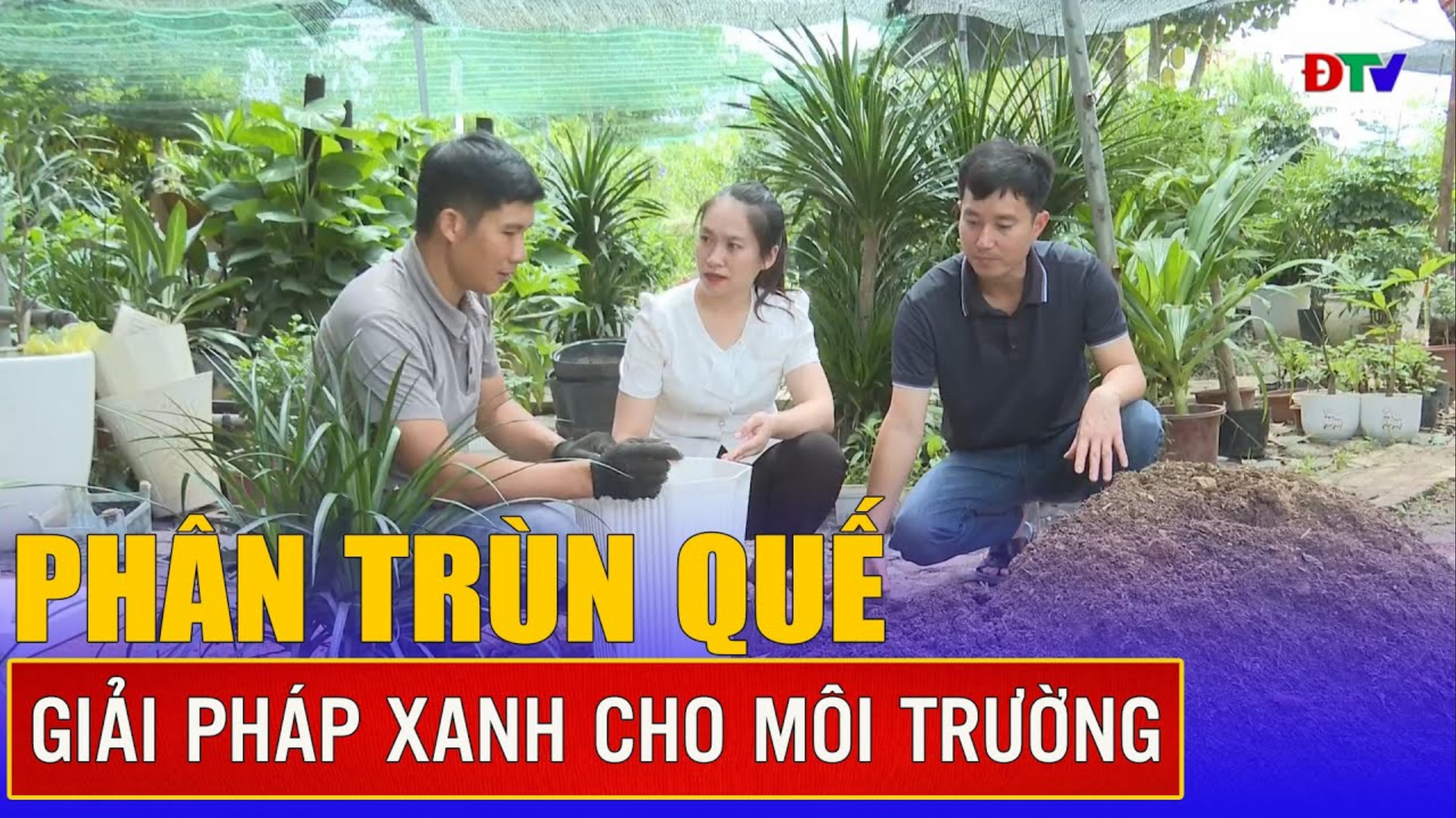 Phân trùn quế - Giải pháp xanh cho môi trường