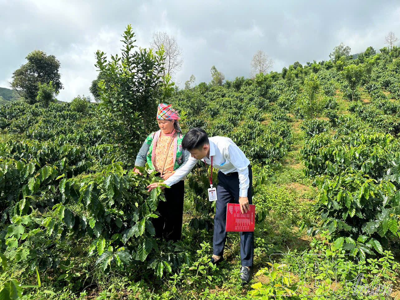 Ưu tiên vốn phát triển nông nghiệp, nông thôn