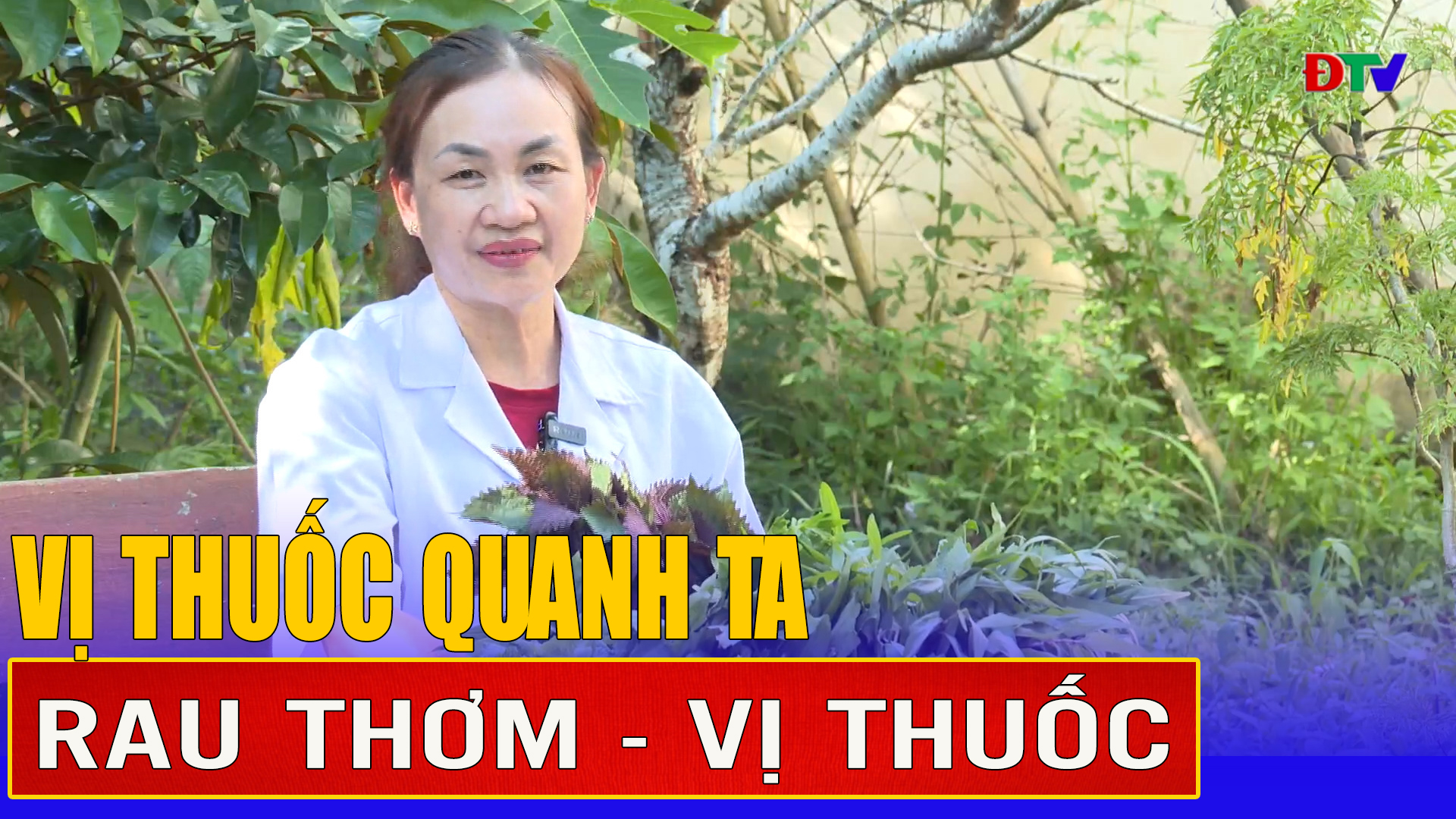Rau thơm - vị thuốc