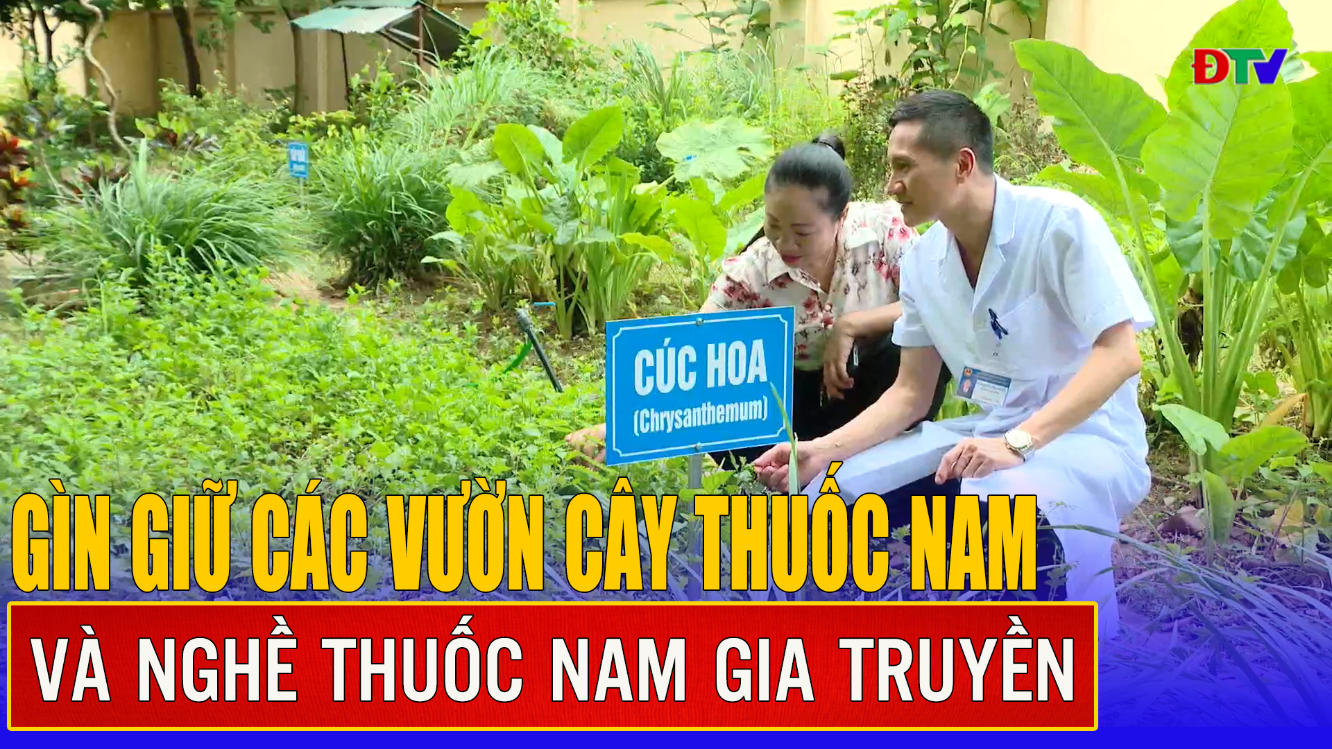 Gìn giữ các vườn cây thuốc nam và nghề thuốc nam gia truyền