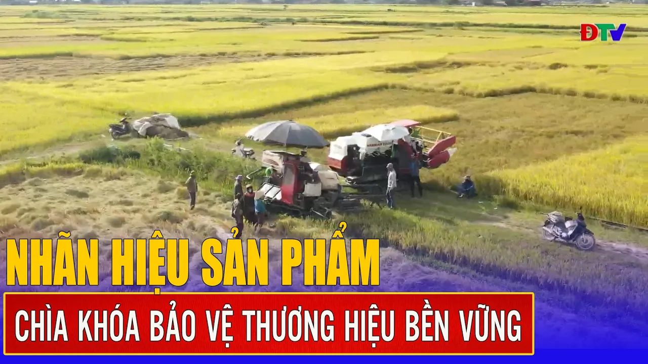 Nhãn hiệu sản phẩm – Chìa khóa bảo vệ thương hiệu bền vững