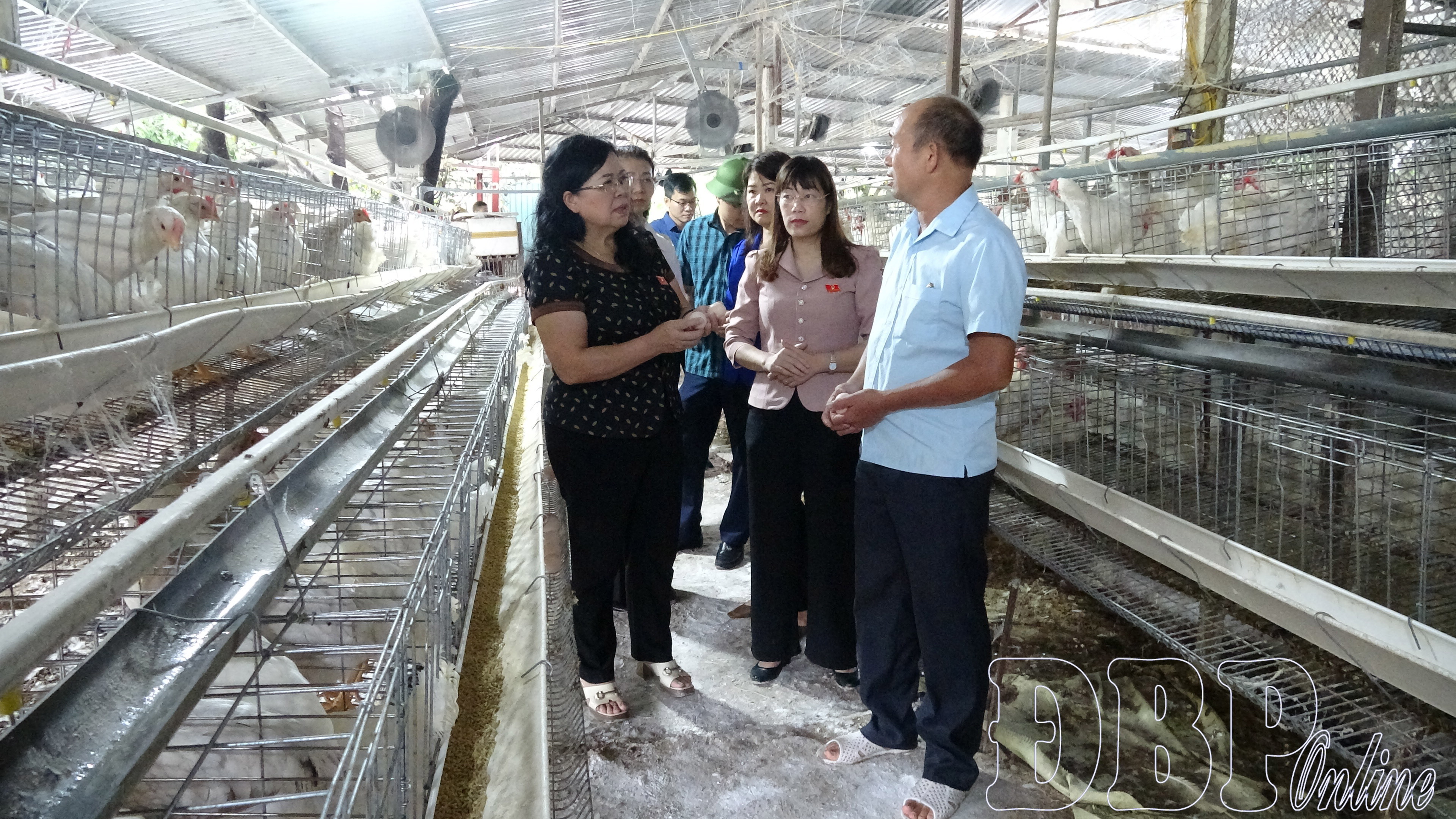 Thường trực HĐND tỉnh giám sát chuyên đề tại Sở Khoa học và Công nghệ