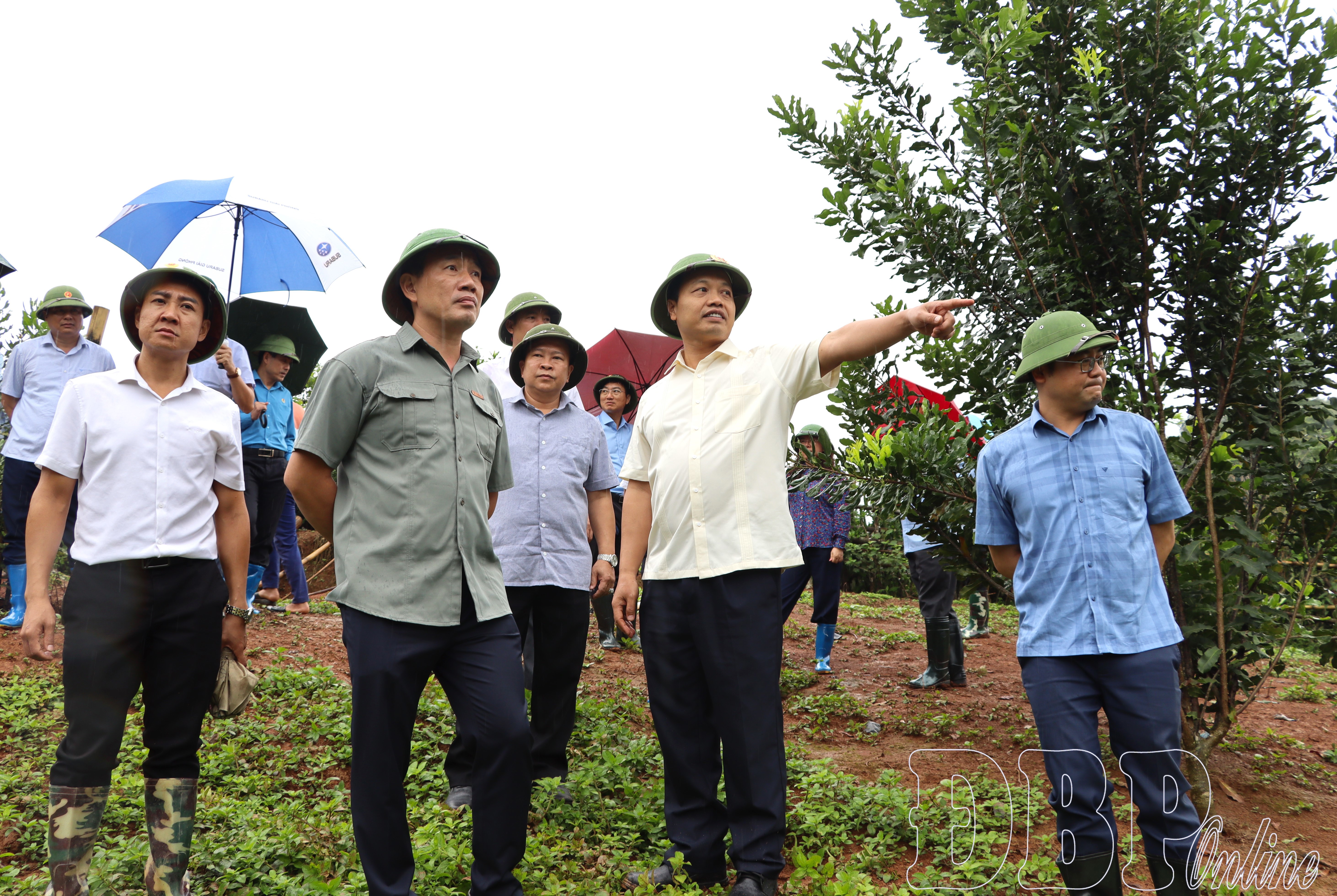 Phó Bí thư Tỉnh ủy Trần Tiến Dũng kiểm tra mô hình kinh tế một số xã