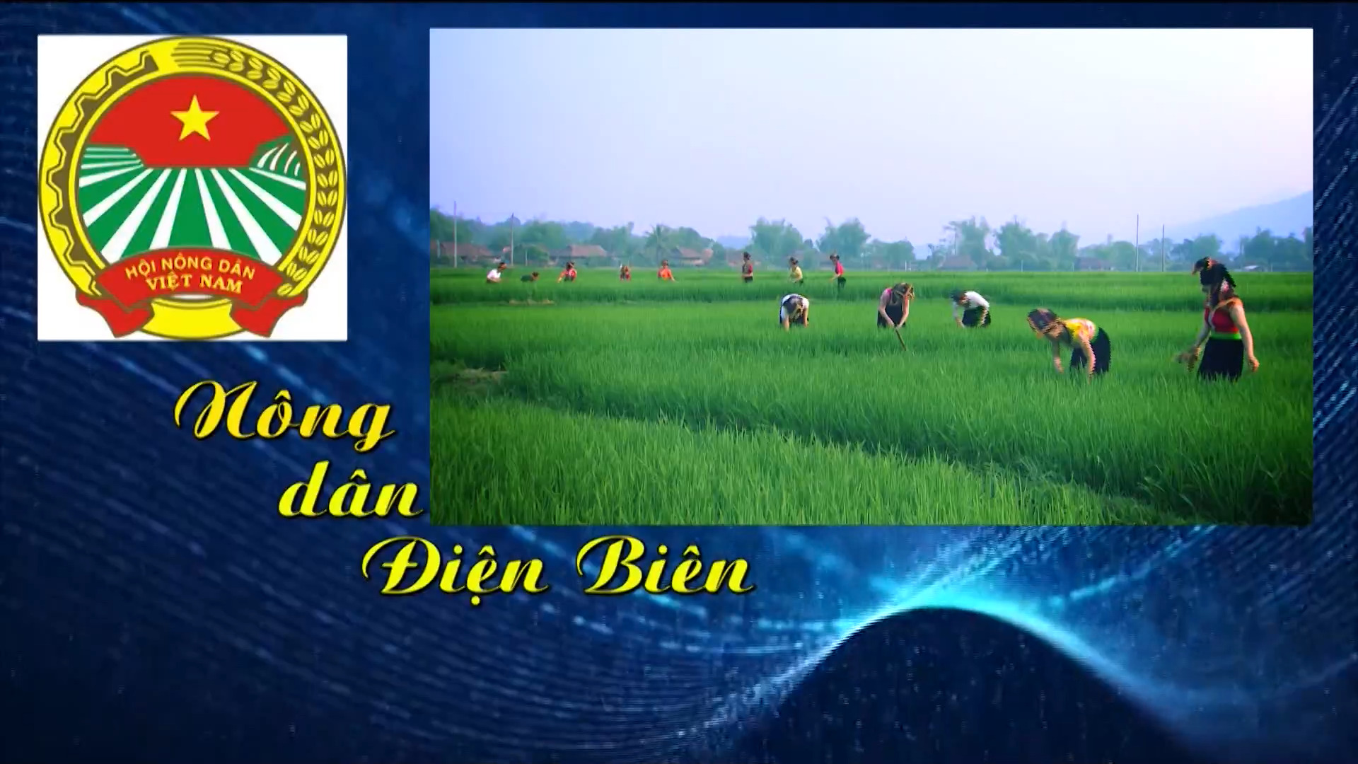 Nông dân Điện Biên (Ngày 13-10-2025)