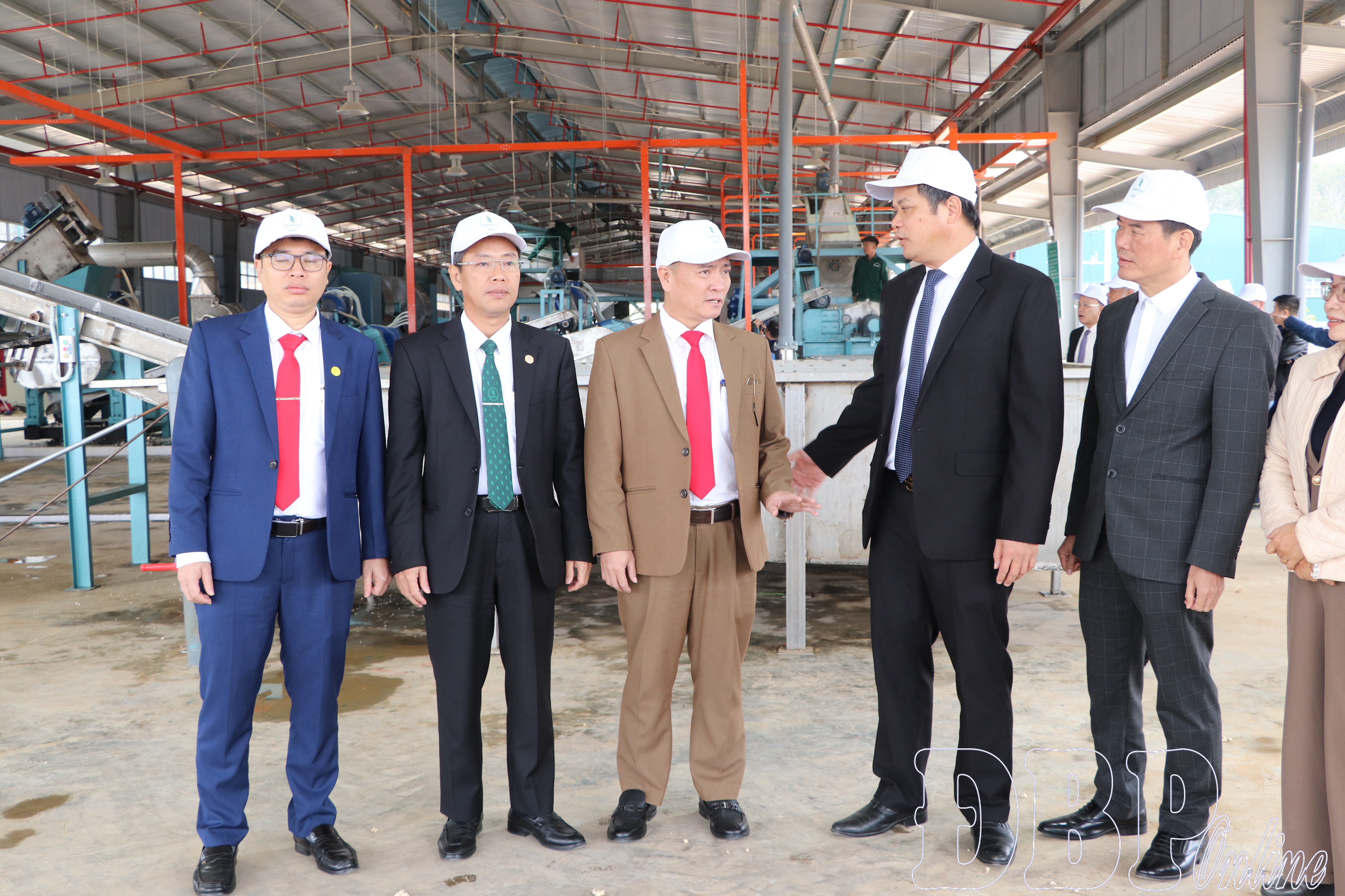 Đại biểu tham quan nhà máy.