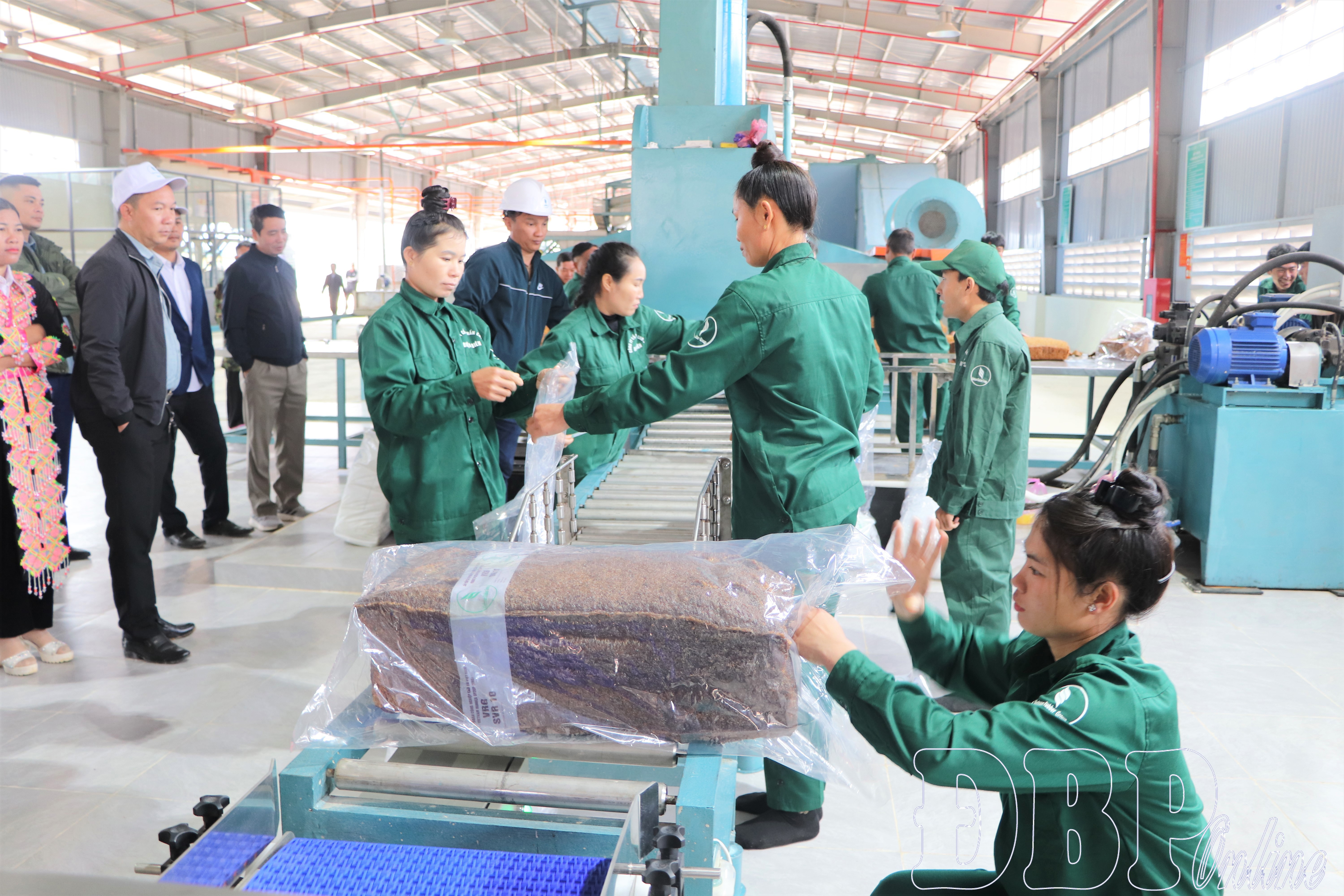 Mủ cao su sơ chế được đóng gói.