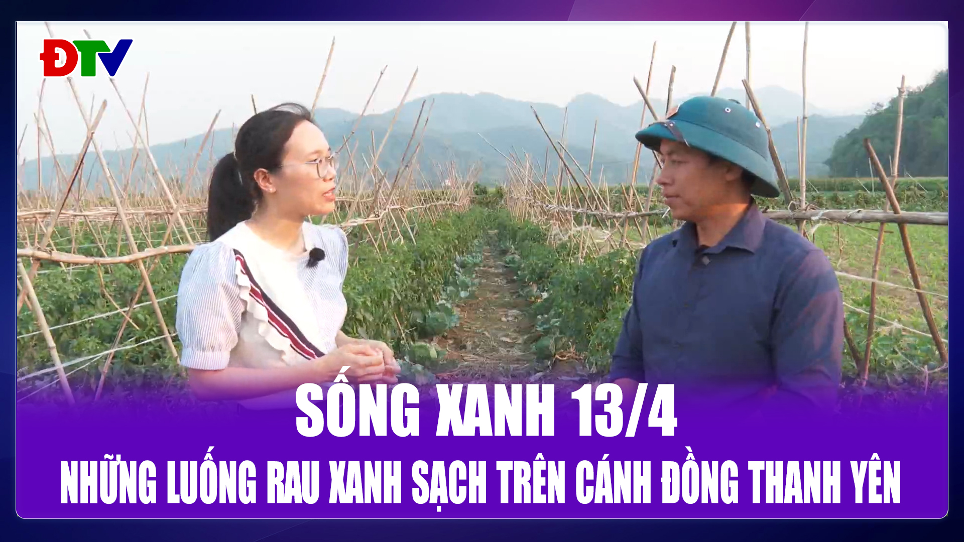 Những luống rau xanh sạch trên cánh đồng Thanh Yên